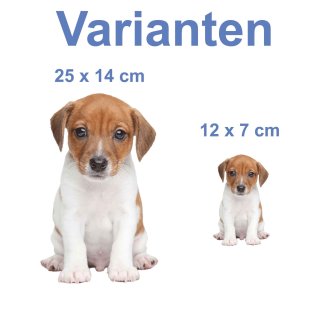 Aufkleber Baby Jack Russel Terrier Hund selbstklebend Sticker Autoauf, 4,74  €