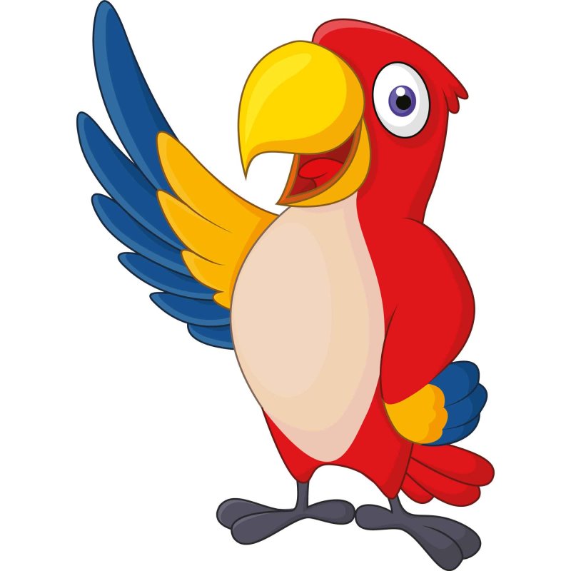 Aufkleber Papagei wasserfest Sticker Familie Vogel Dschungel lächeln , 4,74  €