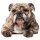 Aufkleber Englische Bulldogge wasserfest Familie Aufkleber Mops Welpe Tier Sticker Deko Autoaufkleber