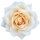 Aufkleber Sticker Kulturrose weiß Blume selbstklebend Autoaufkleber Blumenwiese Album Dekoration Set Car Caravan Wohnwagen wetterfest 10 x 10 cm
