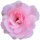 Aufkleber Sticker Rosa Damast-Rose Blume selbstklebend Autoaufkleber Blumenwiese Album Dekoration Set Car Caravan Wohnwagen wetterfest 10 x 10 cm