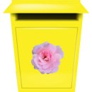 Aufkleber Sticker Rosa Damast-Rose Blume selbstklebend Autoaufkleber Blumenwiese Album Dekoration Set Car Caravan Wohnwagen wetterfest 20 x 20 cm