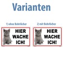 Kleberio® Katzenschild Kunststoff - Hier wache ich! -  30 x 20cm mit Bohrlöcher Warnschild Katze Vorsicht Katze Gartendeko Katze Gartenschilder